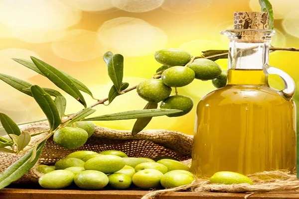 تصویر 4 از خرید روغن زیتون شیشه + قیمت فروش استثنایی